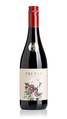 Prunus Tinto, Dao 2021