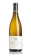 Bourgogne Blanc, Domaine Sylvain Bzikot 2020