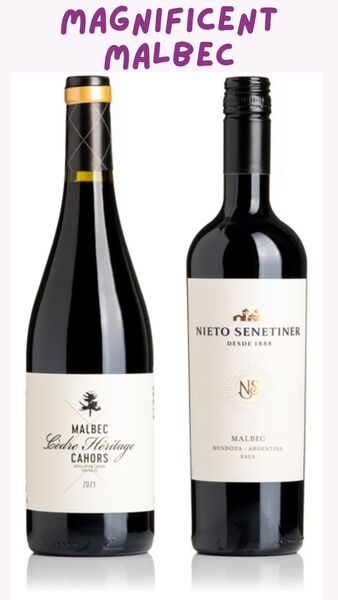 Magnificent Malbec Duo Pack