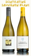 Scintillating Sauvignon Duo Pack