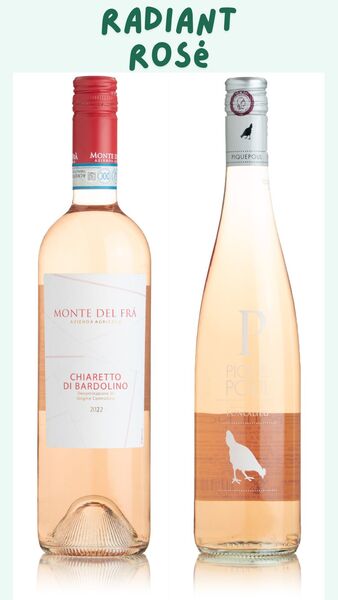 Radiant Rosé Duo Pack