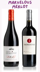 Marvellous Merlot Duo Pack