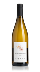 Macon-Chardonnay, Corentin Chavy 2023