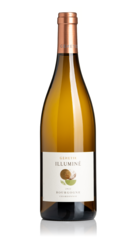 Bourgogne Chardonnay 'Illumine', Genetie 2022