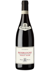 Bourgogne Pinot Noir, Nuiton Beaunoy 2022