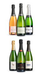 Champagne Beyond the Big Names