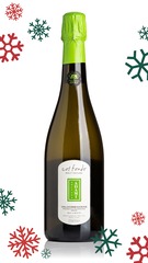 Adami Col Fondo Valdobbiadene Prosecco Superiore Brut Nature 2023