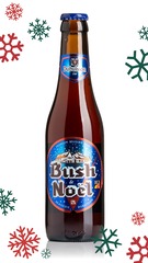 Dubuisson Bush de Noel